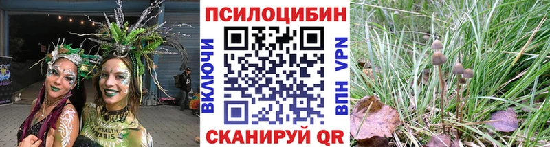 блэк спрут сайт  Давлеканово  Галлюциногенные грибы Magic Shrooms 